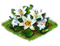 whitelily_Icon.png