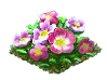 wildrose_Icon.png
