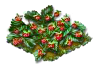 wildstrawberry_Icon.png