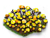 winterjasmine_Icon.png