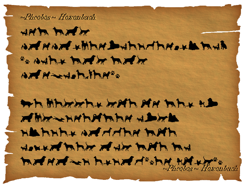 WM.png