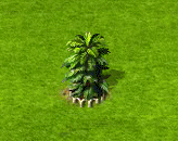 wollemie_upgrade_1.gif