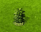 wollemie_upgrade_2.gif