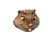 wombat.png
