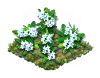 woodruff_Icon.png