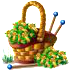 worldcupjun2018basket1[1].png