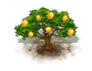 Y189Iqe.png