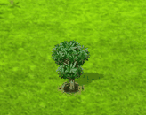 yangmei_upgrade_0[1].gif