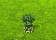 yangmei_upgrade_1.gif