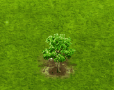 yellowelder_upgrade_0.gif