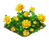 yellowrose_Icon.png