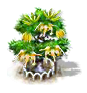 Ylang-Ylang-Baum xl.png