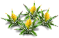 zebra_plant_layer2[1].png