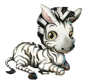 Zebra_Stufe_0.png
