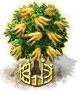 Zedrate xxl.png