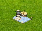 zije_an[1].gif