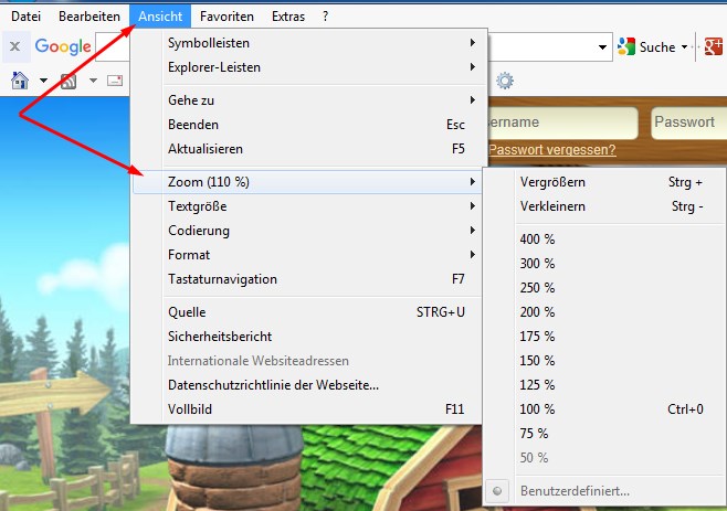 Zoom beim IE.jpg
