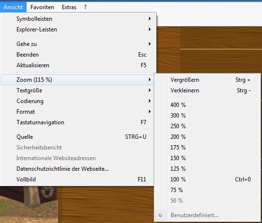 zoomen Browser IE.jpg