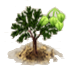 zQ9rLW5.png