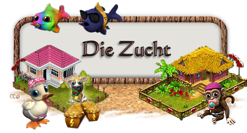 Zucht Banner.png