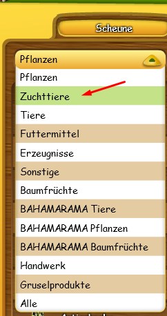 Zuchttiere in Scheune.jpg