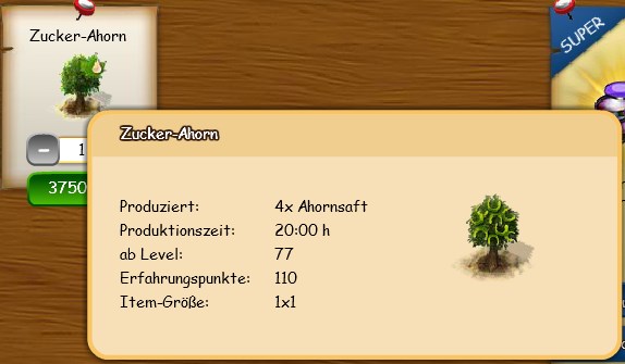 Zucker-Ahorn Baum.jpg