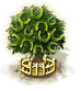 Zucker-Ahorn XXL.png