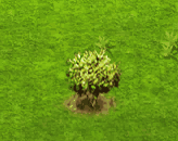 Zylinder.gif